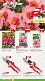 Aktueller Raiffeisenmarkt Prospekt mit Gartenerde, "Gartenzeit & Spielspaß Wohlfühlen für alle", Seite 3
