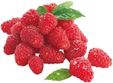 Himbeeren von  im aktuellen REWE Prospekt für 1,99 €