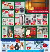 Weihnachtsdekoration im Marktkauf Prospekt in Reutlingen Aktueller Marktkauf Prospekt mit Weihnachtsdekoration, "Aktuelle Angebote", Seite 37