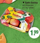 Äpfel Evelina von evelina im aktuellen V-Markt Prospekt für 1,99 €