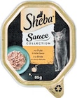 Katzennahrung im Angebot bei Netto Marken-Discount in Pirna Katzennahrung Angebote von Sheba bei Netto Marken-Discount Pirna für 0,49 €