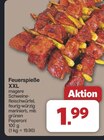 Feuerspieße XXL für 1,99 € bei famila Nordwest im Angebot Feuerspieße XXL im aktuellen famila Nordwest Prospekt