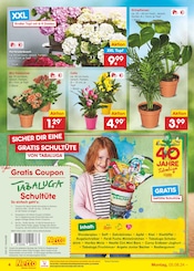 Aktueller Netto Marken-Discount Prospekt mit Gartenpflanzen, "Aktuelle Angebote", Seite 4