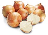 Gelbe Bio Speisezwiebeln Angebote von REWE Bio bei REWE Brandenburg für 1,11 €