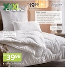 Betten-Serie „Levante“ Angebote von Sleeptex bei XXXLutz Möbelhäuser Monheim für 39,99 €