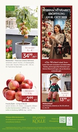 Pflanzen Kölle Weihnachten im Prospekt 