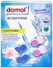 WC-Duftstein 4-fach-Power von Domol im aktuellen Rossmann Prospekt