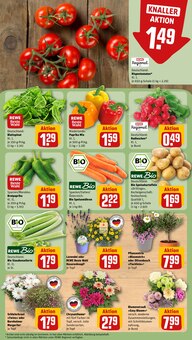 Kartoffeln im aktuellen REWE Prospekt (Saarbrücken) Kartoffeln im REWE Prospekt "Dein Markt" mit 18 Seiten (Saarbrücken)