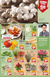 Pflanzen im REWE Prospekt in Berlin Aktueller REWE Prospekt mit Pflanzen, "Dein Markt", Seite 13