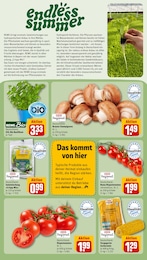 REWE Salat im Prospekt 
