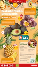 Penny Avocado im Prospekt 