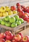 Promo Pomme à 1,49 € dans le catalogue Intermarché Contact à La Ville-Dieu-du-Temple