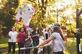 Lidl Diepholz - Piñata Angebot im Prospekt Piñata bei Lidl im Diepholz Prospekt für 8,99 €
