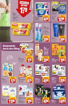 Katzenfutter im REWE Prospekt "Dein Markt" mit 28 Seiten (München)