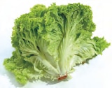 Salatspezialitäten im EDEKA Prospekt Salatspezialitäten von im aktuellen EDEKA Prospekt für 0,79 €