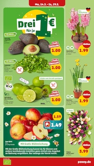 Avocado Angebot im aktuellen Penny Prospekt auf Seite 3