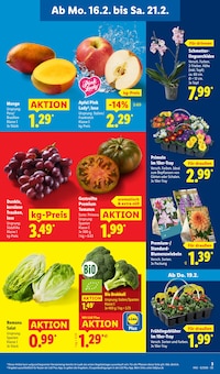 Gemüse im aktuellen Lidl Prospekt (Koblenz) Gemüse im Lidl Prospekt "LIDL LOHNT SICH" mit 68 Seiten (Koblenz)