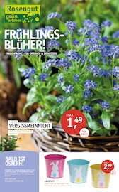 Aktueller ROSENGUT Langerwisch Prospekt mit Pflanzen, "FRÜHLINGSBLÜHER!", Seite 1