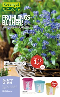 Pflanzen im aktuellen ROSENGUT Langerwisch Prospekt (Potsdam) Pflanzen im ROSENGUT Langerwisch Prospekt "FRÜHLINGSBLÜHER!" mit 12 Seiten (Potsdam)