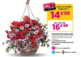 Suspension anglaise à 14,99 € dans le catalogue Delbard