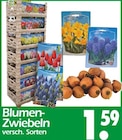 Blumen-Zwiebeln bei Wreesmann im Coswig Prospekt für 1,59 €