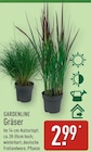 Gräser im Angebot bei ALDI Nord in Falkensee Gräser Angebote von Gardenline bei ALDI Nord Falkensee für 2,99 €