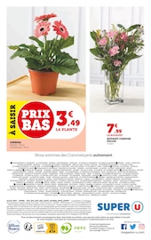 Plantes Angebote im Prospekt "Le marché à prix bas !" von Super U auf Seite 18