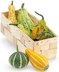 Zierkürbisse im Korb im Angebot bei REWE in Velbert Zierkürbisse im Korb Angebote von REWE Regional bei REWE Velbert für 3,49 €