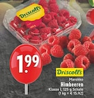 EDEKA Altena - Himbeeren Angebot im Prospekt Himbeeren bei EDEKA im Altena Prospekt für 1,99 €