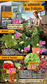 Aktueller Hornbach Prospekt mit Bratpfanne, "Ran ans PROJEKT. Es ist schon Pflanzzeit.", Seite 4