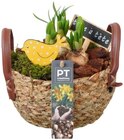 Frühjahrsarrangement Angebote von PT creations bei REWE Kempen für 7,99 €