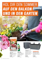 Aktueller OBI Prospekt mit Blumentopf, "BRING FARBE IN DEN GARTEN!", Seite 2