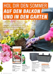 Blumenkasten Angebot im aktuellen OBI Prospekt auf Seite 2