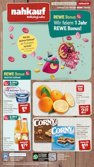 Aktueller nahkauf Prospekt "nichts liegt näher" für Hameln Aktueller nahkauf Prospekt für Hameln mit Seiten