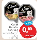 Hundenahrung von Cesar für 0,69 € bei budni im Angebot Hundenahrung von Cesar im aktuellen budni Prospekt