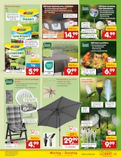 Aktueller Netto Marken-Discount Prospekt mit Deko, "Aktuelle Angebote", Seite 29