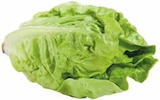 Mini-Romana bei E center im Schüttorf Prospekt für 0,99 €