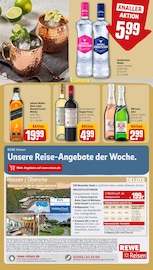 Aktueller REWE Prospekt mit Wodka, "Dein Markt", Seite 22