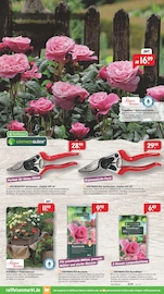 Gartenerde im Raiffeisenmarkt Prospekt in Haltern am See Aktueller Raiffeisenmarkt Prospekt mit Gartenerde, "Wir leben Nähe", Seite 9