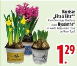 Narzisse "Tête à Tête" oder Hyazinthe  im aktuellen EDEKA Prospekt für 1,29 €