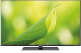 LED TV 43 LED 8251 DG Angebote von Kendo bei expert Göttingen für 399,00 €