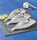 Bi1 Chaource - Promo Dorade Royale Promo Dorade Royale à 10,90 € dans le catalogue Bi1 à Chaource