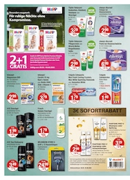 V-Markt Unterwäsche im Prospekt V-Markt Unterwäsche im Prospekt