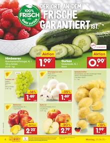 Äpfel im Netto Marken-Discount Prospekt "Aktuelle Angebote" mit 44 Seiten (Recklinghausen)