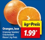 Lidl Freinsheim Prospekt mit  im Angebot für 1,99 €