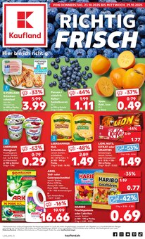 Aktueller Kaufland Mittweida Prospekt "Aktuelle Angebote" mit 61 Seiten