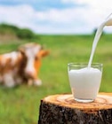 Promo Lait UHT demi-écrémé Bleu Blanc Coeur à 5,70 € dans le catalogue U Express à Plouvorn