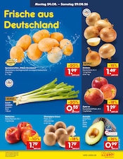 Champignons im Netto Marken-Discount Prospekt in Düsseldorf Aktueller Netto Marken-Discount Prospekt mit Champignons, "Aktuelle Angebote", Seite 24