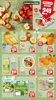 Ingwer im REWE Prospekt "Dein Markt" mit 22 Seiten (Düsseldorf)