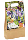 Blumenzwiebel-Kollektion im Angebot bei OBI in Göttingen Blumenzwiebel-Kollektion Angebote von GROW by OBI bei OBI Göttingen für 9,99 €